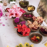 Organic Cotton Bucket Hat or Silk Scrunchie Natural Dyeing Workshop by Carly Catalano - 3 Nov 2024