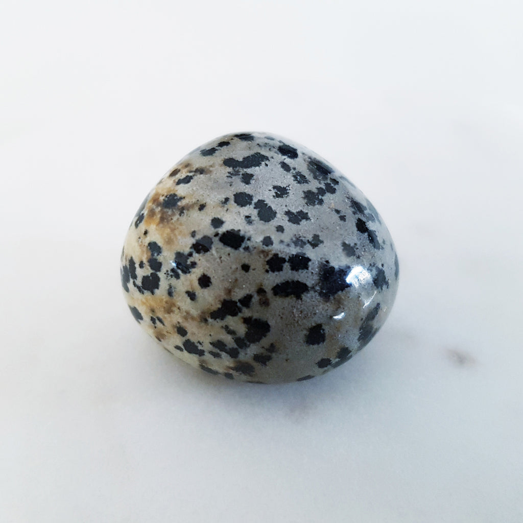 Tumbled Stones - Dalmatian Jasper