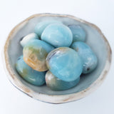 Tumbled Stones - Amazonite