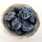 Tumbled Stones - Snowflake Obsidian