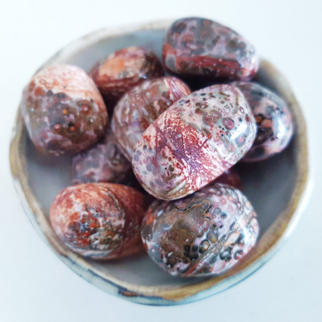 Tumbled Stones - Leopard Skin Jasper