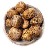 Tumbled Stones - Picture Jasper