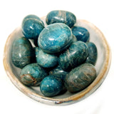 Tumbled Stones - Blue Apatite