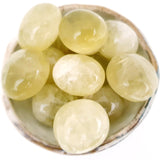 Tumbled Stones - Citrine