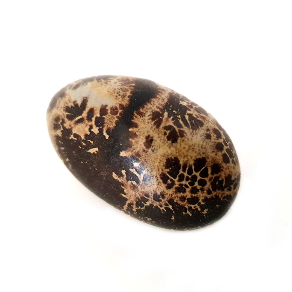 Tumbled Stones - Dendritic Jasper