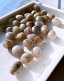 Tumbled Stones - Golden Rutilated Quartz