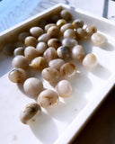 Tumbled Stones - Golden Rutilated Quartz