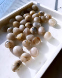 Tumbled Stones - Golden Rutilated Quartz