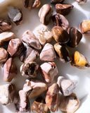 Tumbled Stones - Brown Zebra Jasper