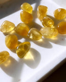 Tumbled Stones - Golden Fluorite