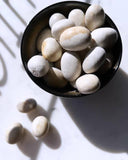 Tumbled Stones - Fossilized Coral