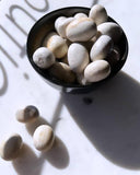 Tumbled Stones - Fossilized Coral