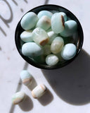 Tumbled Stones - Pistachio Calcite