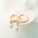 Glamorous Pearls Collection Earrings - Round Pearl Gold Loop Earrings