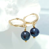 Glamorous Pearls Collection Earrings - Titanium Round Pearls Earrings