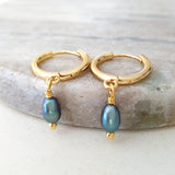 Glamorous Pearls Collection Earrings - Titanium Blue Classic Freshwater Pearls Earrings