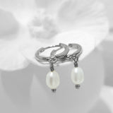 Glamorous Pearls Collection Earrings - White Oval Freshwater Pearls Earrings