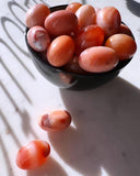 Tumbled Stones - Red Carnelian