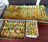 Assorted Succulent Leaves (Unique)