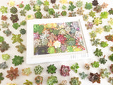 Succulent Print Blush