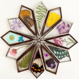 Cherish Collection - Earth’s Little Treasures - Preserved Butterflies Flowers Leaves Glass Locket Necklace