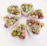 Assorted Succulent Garden Concrete Heart