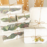 Assorted Succulicious Starter Pack - Soul Made Boutique