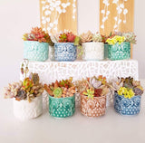 Assorted Succulent Garden Owl Pot
