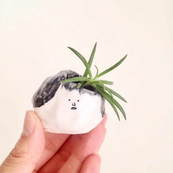 Quirky Face Pot