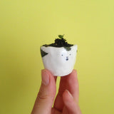 Quirky Face Pot