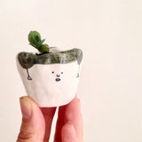 Quirky Face Pot