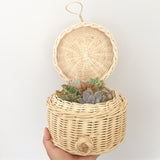 Assorted Succulent Cuttings (Regular) Gift Basket - Soul Made Boutique