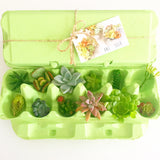 Little Green Box (September)