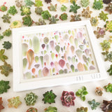 Succulent Print Pure