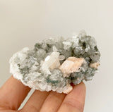 Blessed Gift Box (Mini Cuttings & Mystery Crystal)