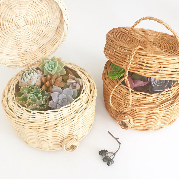 Assorted Succulent Cuttings (Regular) Gift Basket - Soul Made Boutique