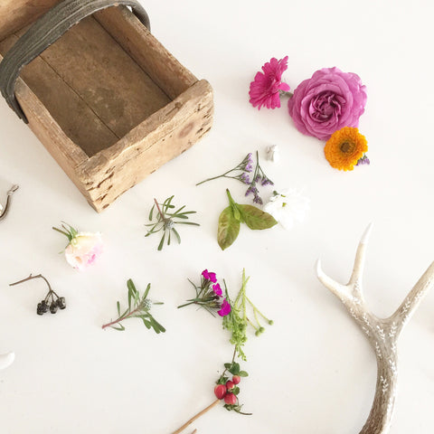 Antler with Floral Prints