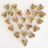 Assorted Succulent Garden Concrete Heart