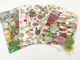 Succulent Print Amour