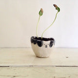 Quirky Face Pot