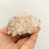 Blessed Gift Box (Mini Cuttings & Mystery Crystal)
