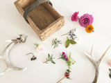 Weathered Crate Basket