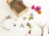 Antler with Floral Prints - Soul Made Boutique