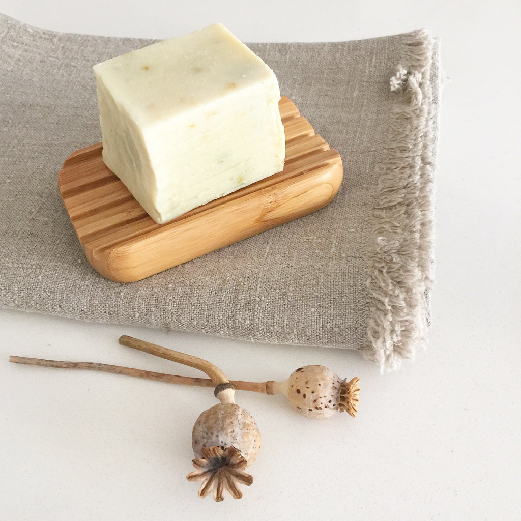 Soap Bush Scents