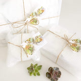 Assorted Succulent Cuttings (Regular) Gift Basket - Soul Made Boutique