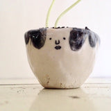 Quirky Face Pot