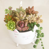 Assorted Succulent Garden Kitty Pot - Soul Made Boutique