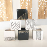 Collector's Succulent Plant Geometry Cube Pot - Soul Made Boutique