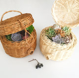 Assorted Succulent Cuttings (Regular) Gift Basket - Soul Made Boutique