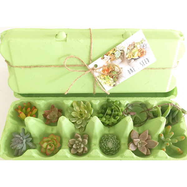 Little Green Box (April)